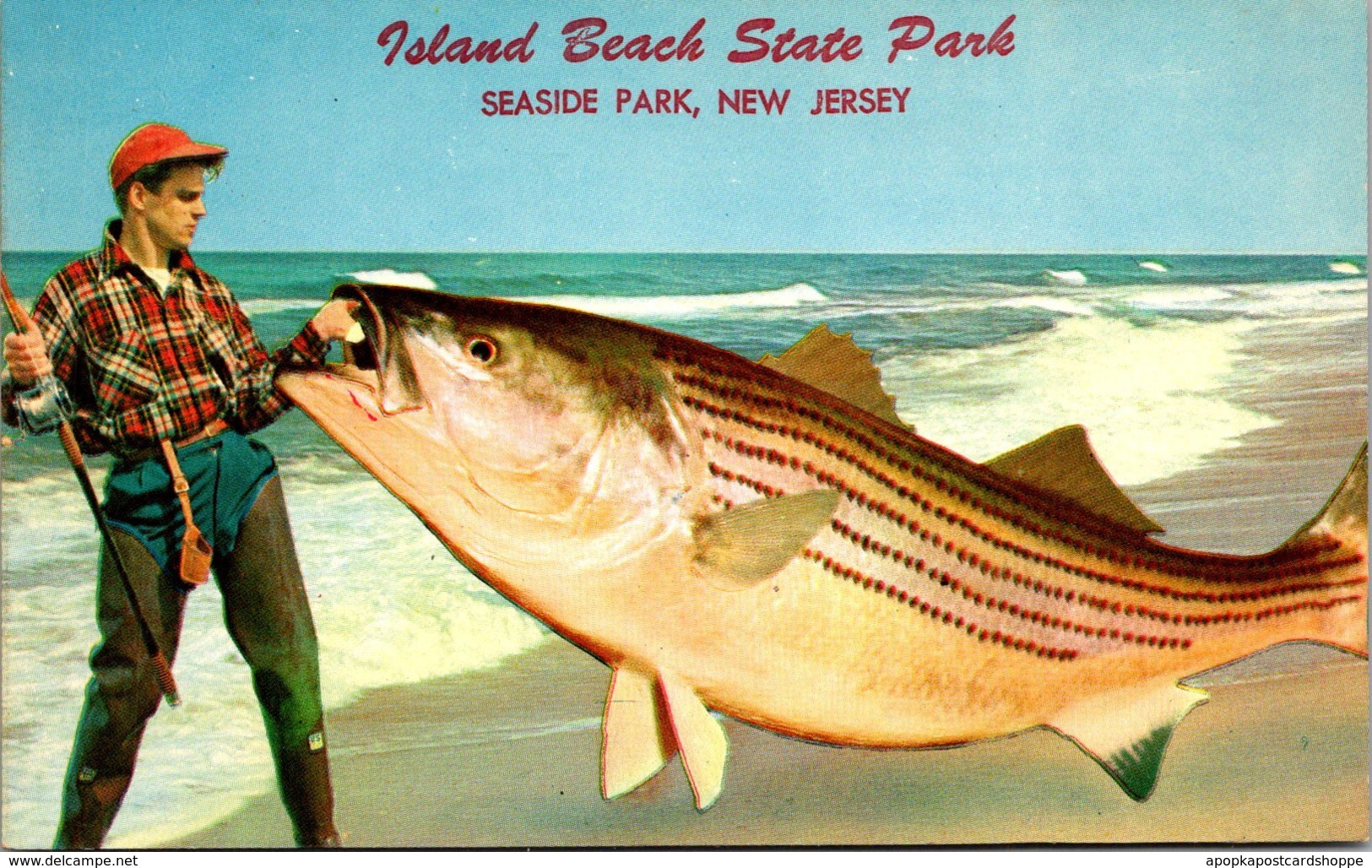 New Jersey Seaside Park Island Beach State Park Fishing Exageration - Other & Unclassified