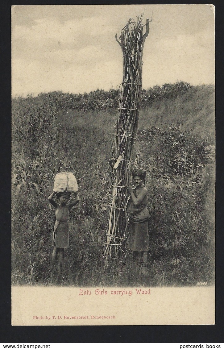 ZULU GIRLS Carrying Wood Native Black Ethnic. Photo By T.D.Ravenscroft  Rondebosch. Old Postcard SOUTH AFRICA 1900s - Afrique Du Sud