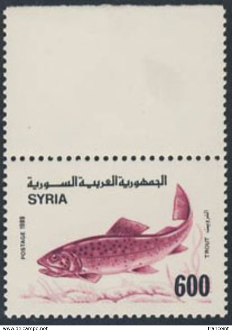 SYRIA (1989) Trout. Margin Pair - But Stamp Did Not Print On Outer Example! Scott No 1182, Yvert No 875. - Poissons