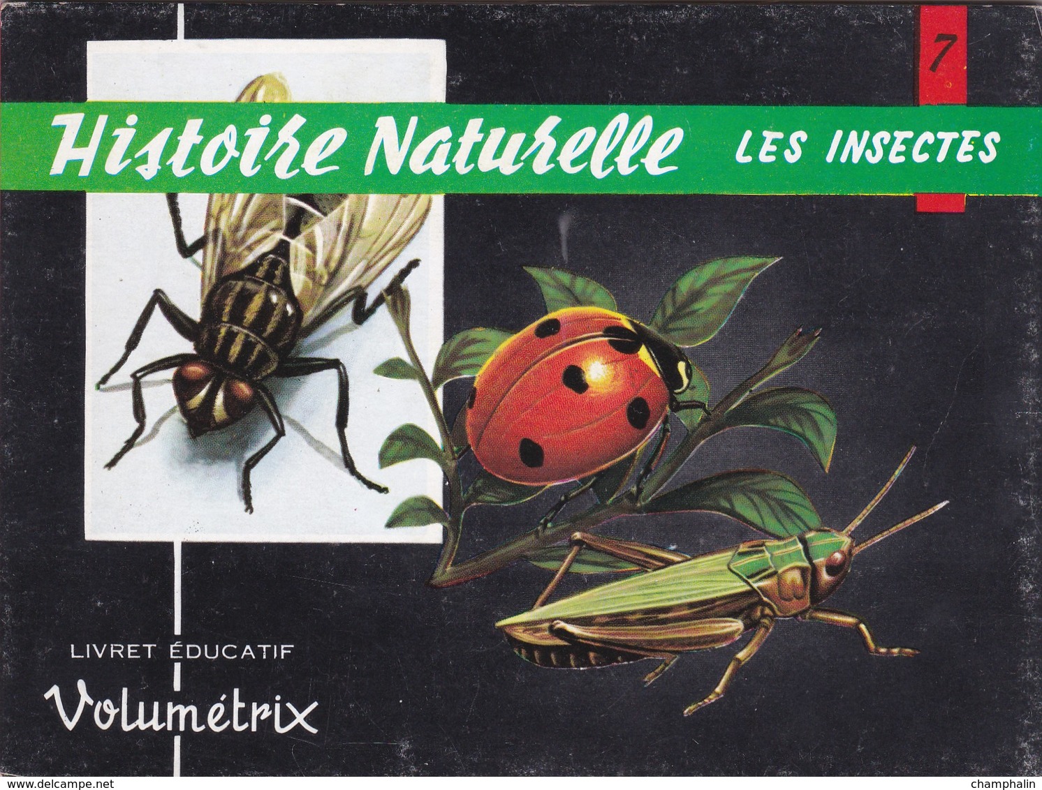 Livret éducatif Volumétrix - N°7 - Histoire Naturelle V - Les Insectes - Fichas Didácticas