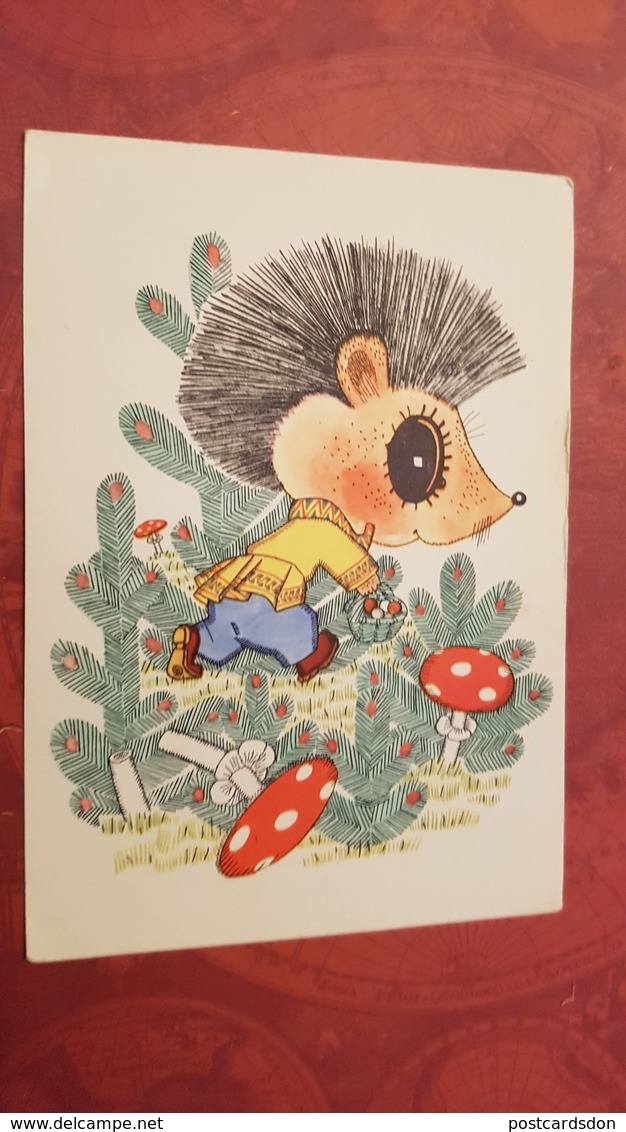 OLD USSR Postcard  - "Hedgehog" By Golubev -   Champignon  - MUSHROOM 1968 Hedgehog - Pilze