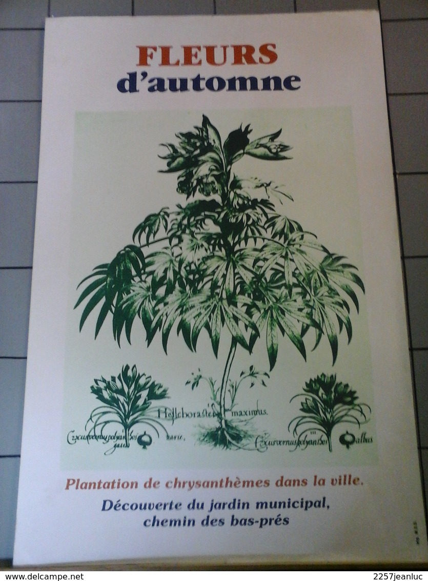 Affiches  -  Fleurs D'Automne Plantations Dans La Ville ! - Afiches