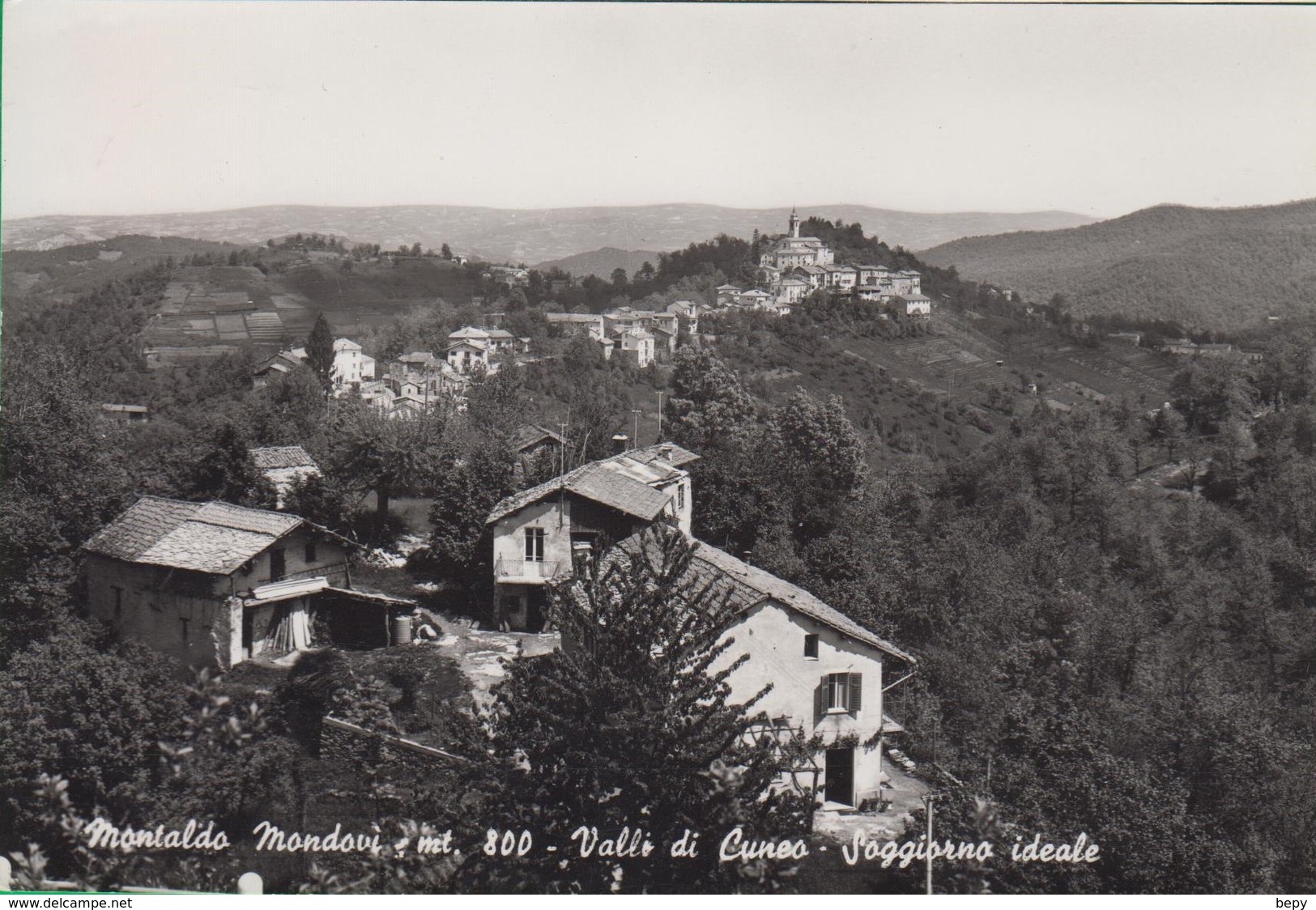 MONTALDO MONDOVì. Valli Di Cuneo.  562 - Cuneo