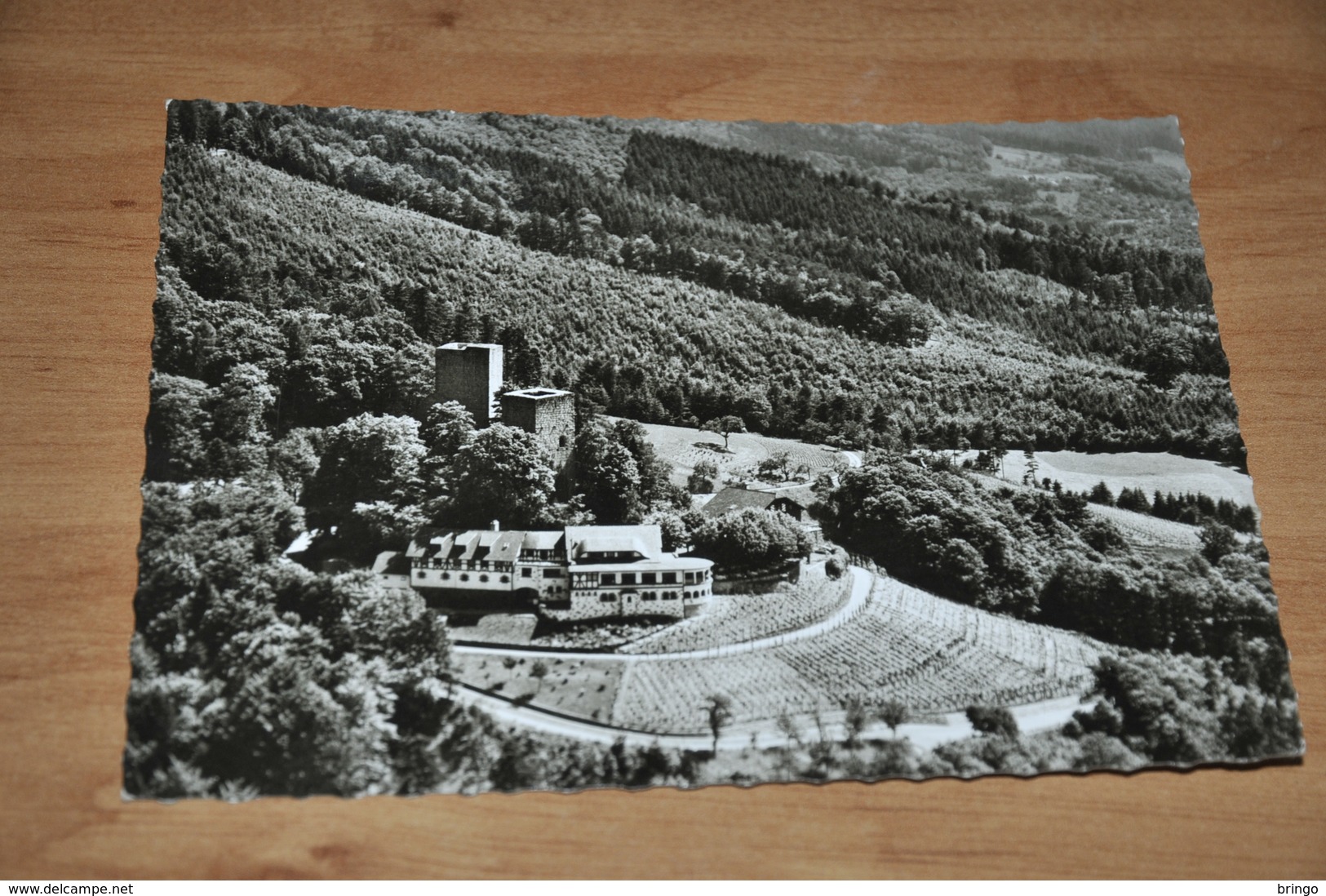 9953-    BURG - WINDECK - BETRIEBE, BÜHL/BADEN - 1964 - Buehl