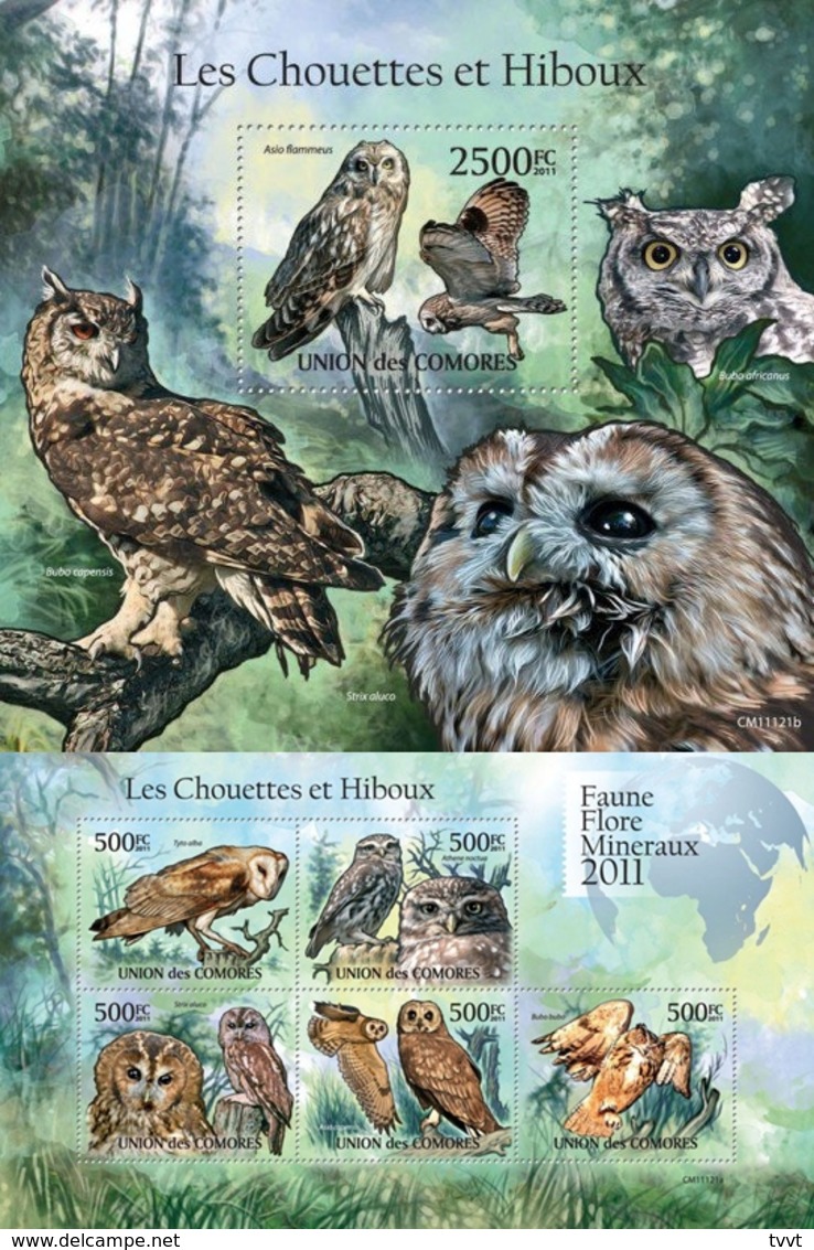 Comoros, 2011. [cm11121] Owls (s/s+bl) - Owls