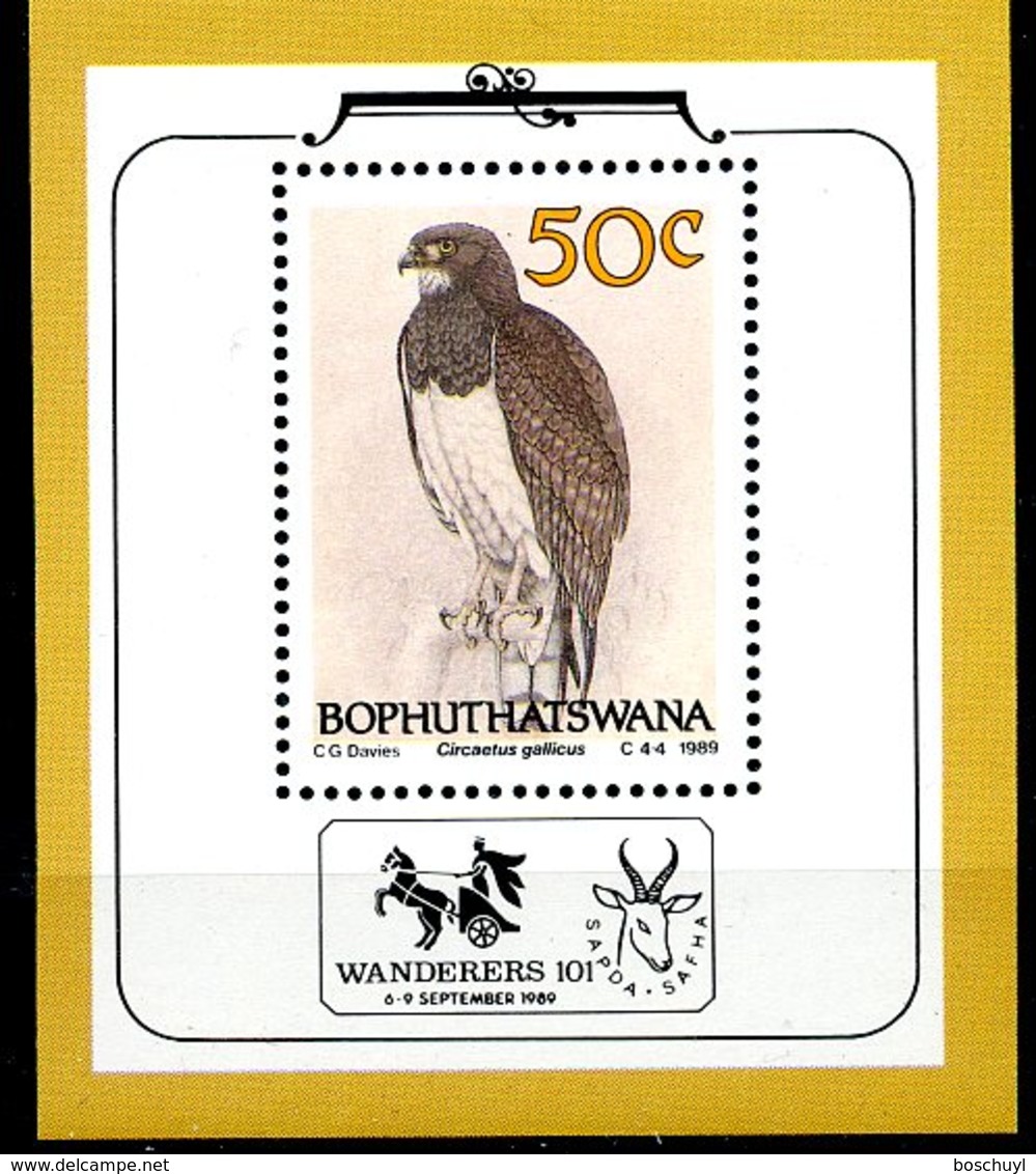 Bophuthatswana, 1989, Eagle, Birds, Animals, Fauna, MNH, Michel Block 4 - Bophuthatswana