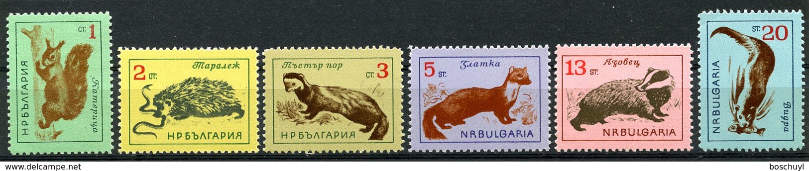 Bulgaria, 1963, Animals, Fauna, MNH, Michel 1377-1382 - Altri & Non Classificati