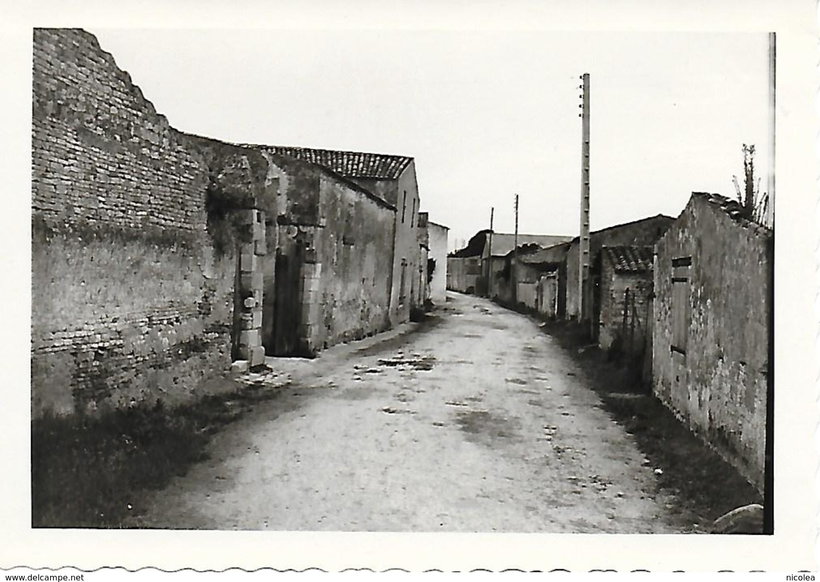 ILE D'OLERON - SAUZELLE - UNE RUE 1950  RARE PHOTO ORIGINALE INEDITE TRES BON ETAT 2 Scans - Ile D'Oléron