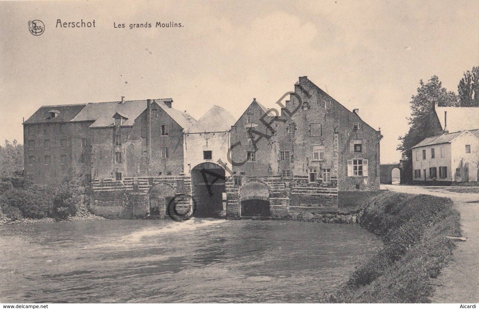 Postkaart/Carte Postale AARSCHOT Les Grands Moulins - Molens (C473) - Aarschot