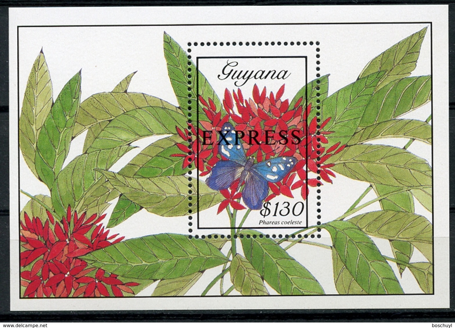 Guyana, 1989, Butterflies, Flowers, MNH Sheet, Michel Block 53 - Guyane (1966-...)