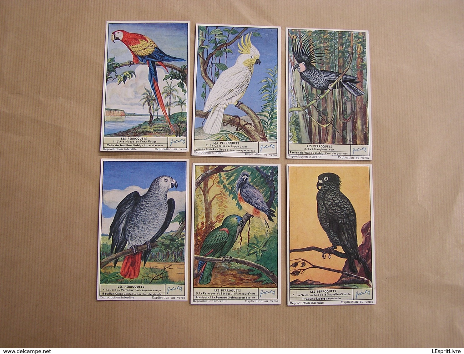 LIEBIG Les Perroquets Ara Cacatoès Jaco Oiseaux Série De 6 Chromos Trading Cards Chromo - Liebig