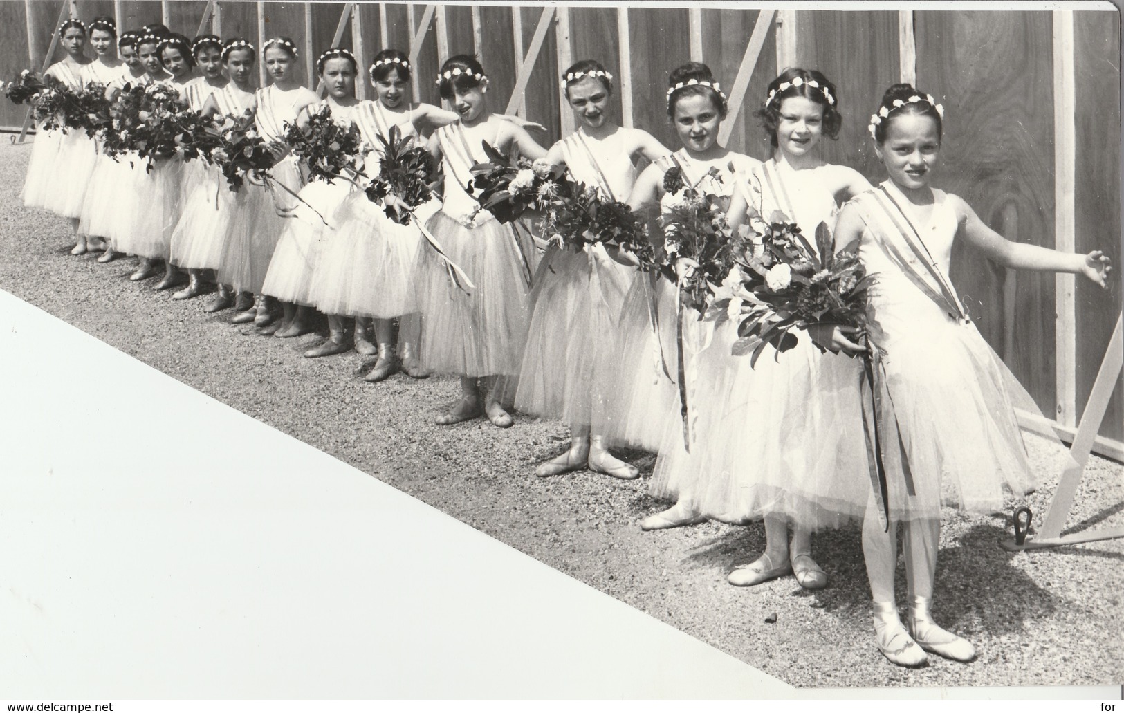 Photo. Professionnelle : Tournon - Ardèche - Majorettes De Valence - Les Cygnes : Bas Gauche Découpé - Lieux