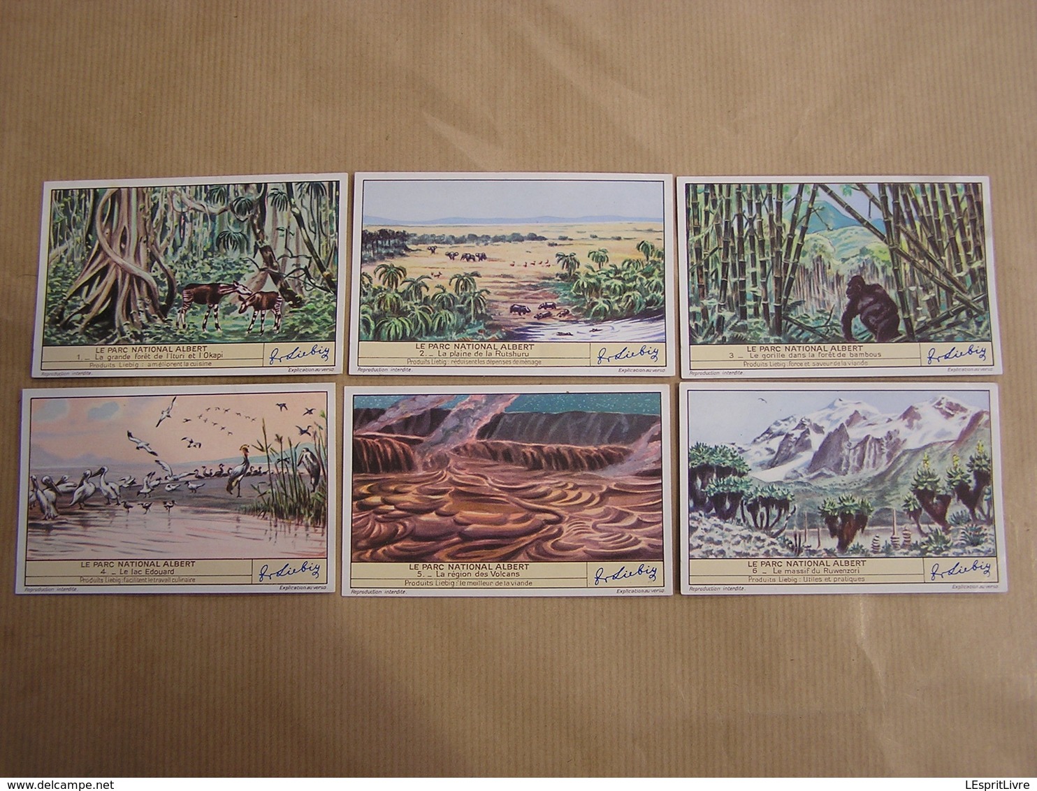 LIEBIG Le Parc National Albert Congo Belge Série De 6 Chromos Trading Cards Chromo - Liebig