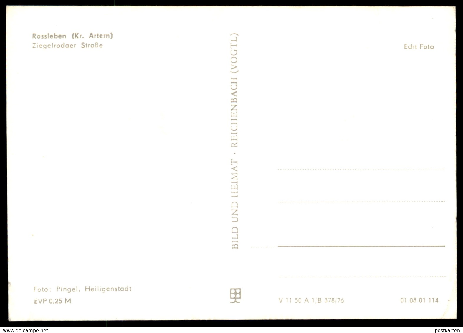 ÄLTERE POSTKARTE ROSSLEBEN KR. ARTERN ZIEGELRODAER STRASSE Cpa AK Ansichtskarte Postcard - Rossleben