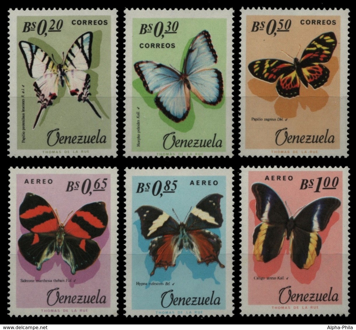 Venezuela 1966 - Mi-Nr. 1639-1644 ** - MNH - Schmetterlinge / Butterflies - Venezuela