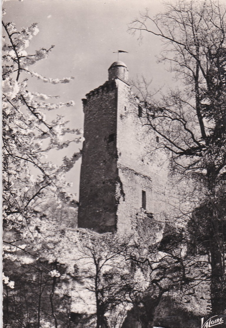 VENDOME - Dépt 41 - La Tour De Poitiers Ou Donjon Du Château Des Comtes De Vendôme - Vendome