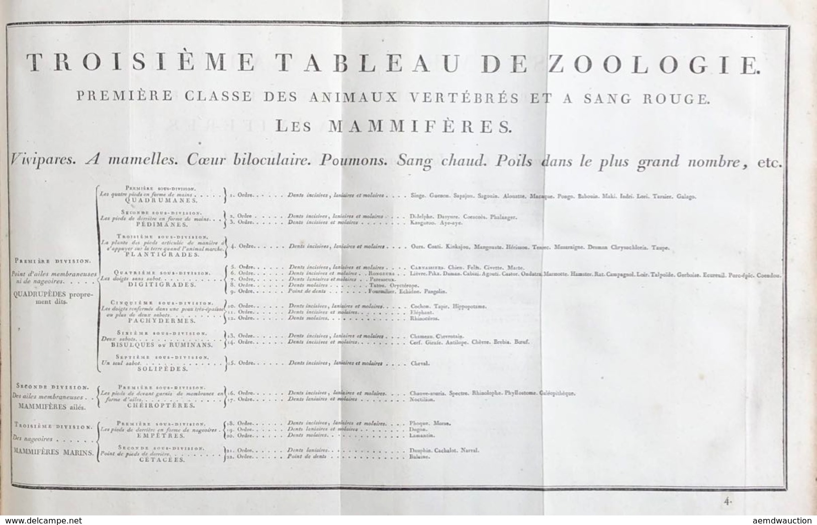 [SCIENCES] Charles CHAISNEAU - Atlas D'histoire Naturel - Andere & Zonder Classificatie