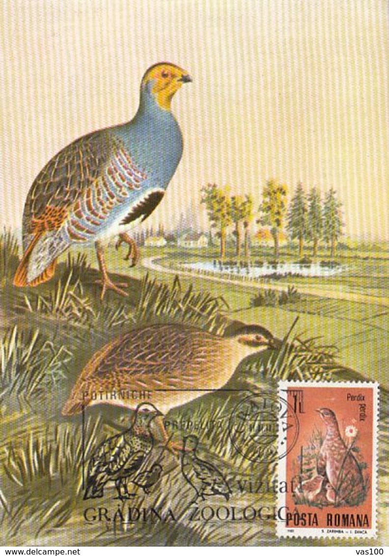 BIRDS, GREY PARTRIDGE, CM, MAXICARD, CARTES MAXIMUM, 1988, ROMANIA - Rebhühner & Wachteln