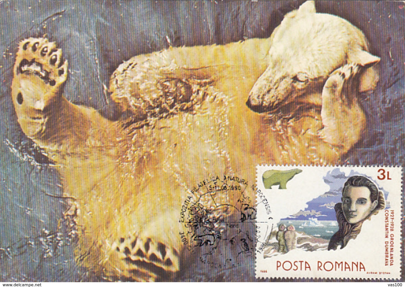 NORTH POLE, ARCTIC WILDLIFE, POLAR BEAR, CM, MAXICARD, CARTES MAXIMUM, 1990, ROMANIA - Arctic Tierwelt