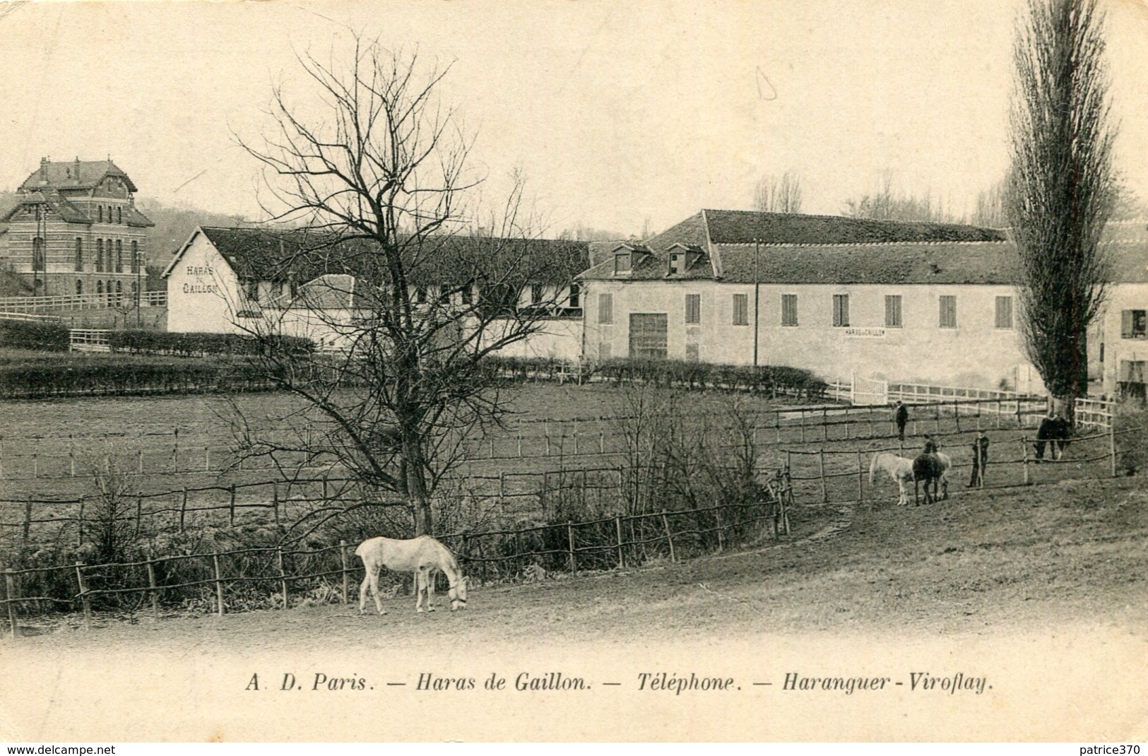 VIROFLAY - Haras De Gaillon Pension Elevage Dressage Chevaux De Luxe Au Dos Horaires Des Trains électriques - Viroflay