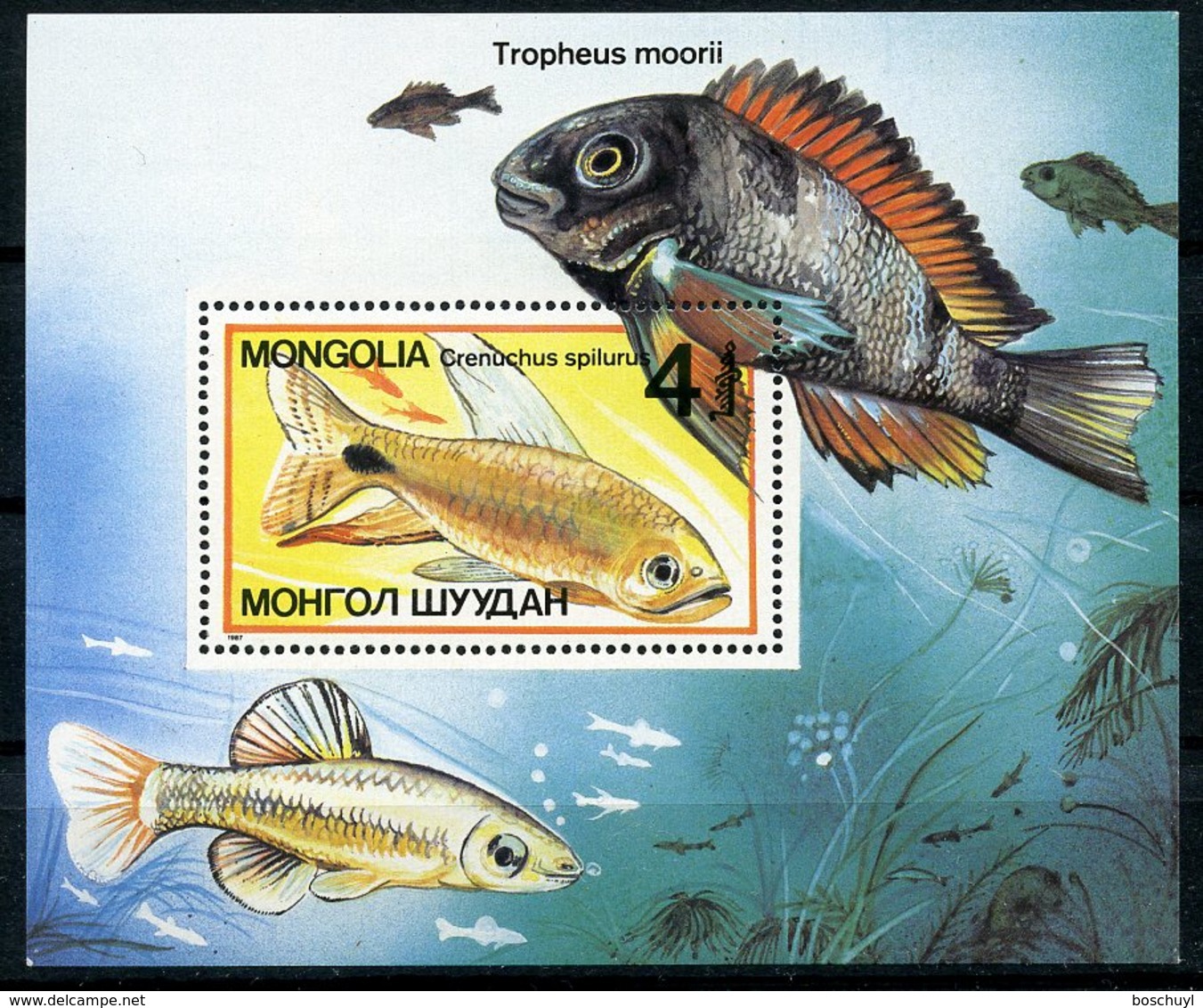 Mongolia, 1987, Fish, Animals, Fauna, MNH, Michel Block 118 - Mongolie