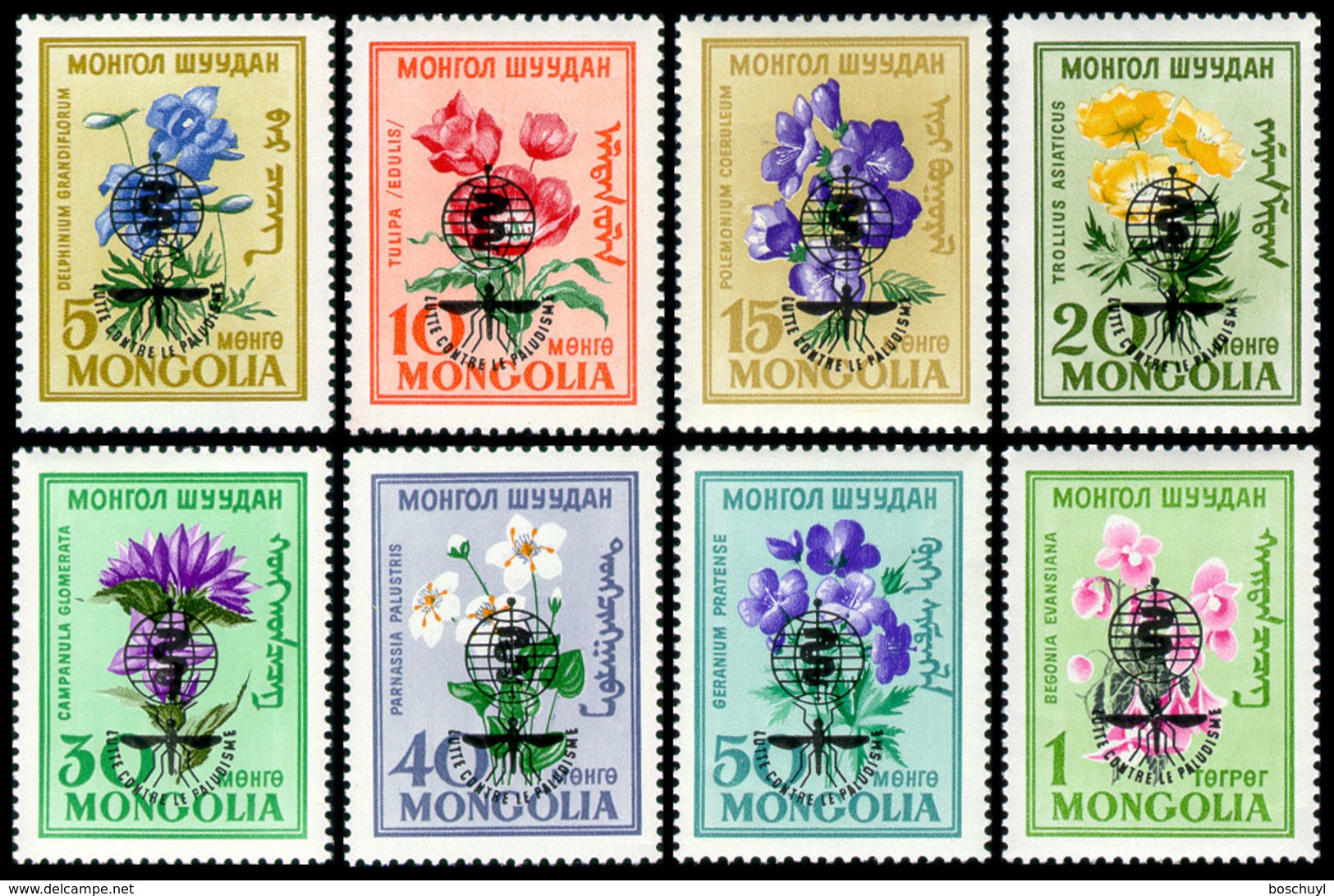 Mongolia, 1962, Fight Against Malaria, WHO, United Nations, MNH, Michel 301-308 - Mongolie