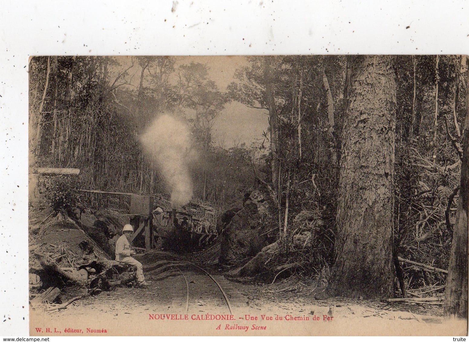 NOUVELLE-CALEDONIE UNE VUE DU CHEMIN DE FER (ARRIVEE DU TRAIN) - Nouvelle Calédonie