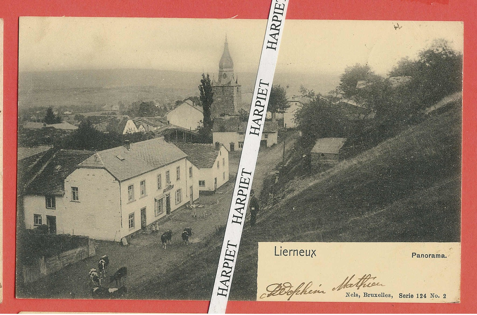 LIERNEUX  -  Magnifique Lot De 17 Cartes Postales Anciennes - Lierneux