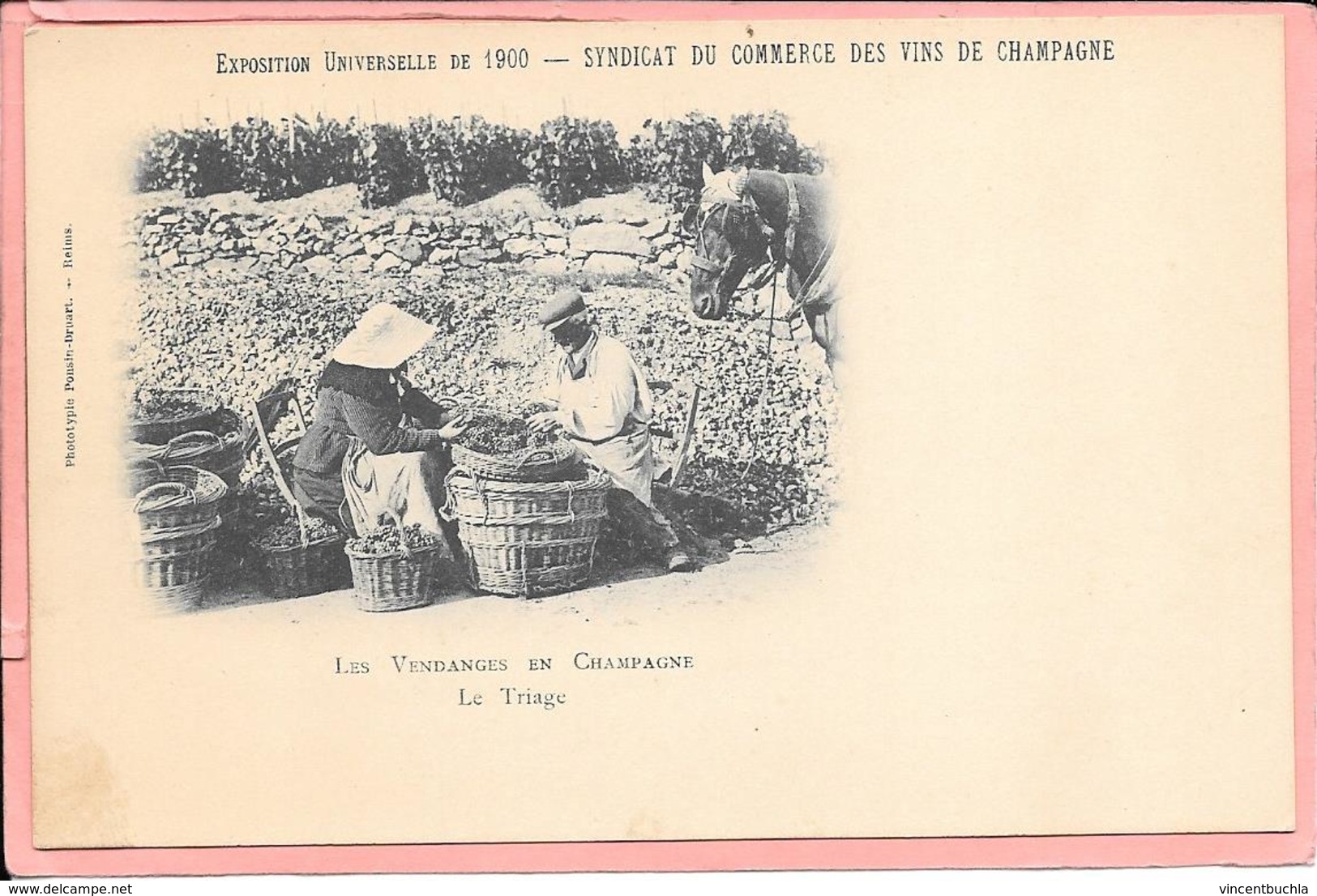 Les Vendanges En Champagne Le Triage Exposition Universelle De 1900 - Syndicat Du Commerce Des Vins De Champagne - Weinberge