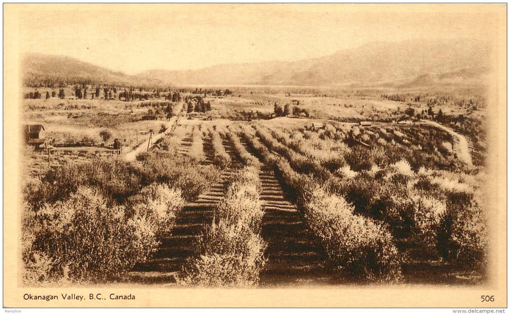 Sepia Illustrated Postcard    Okanagan Valley  B.C.    # 506   Unused - 1903-1954 Kings