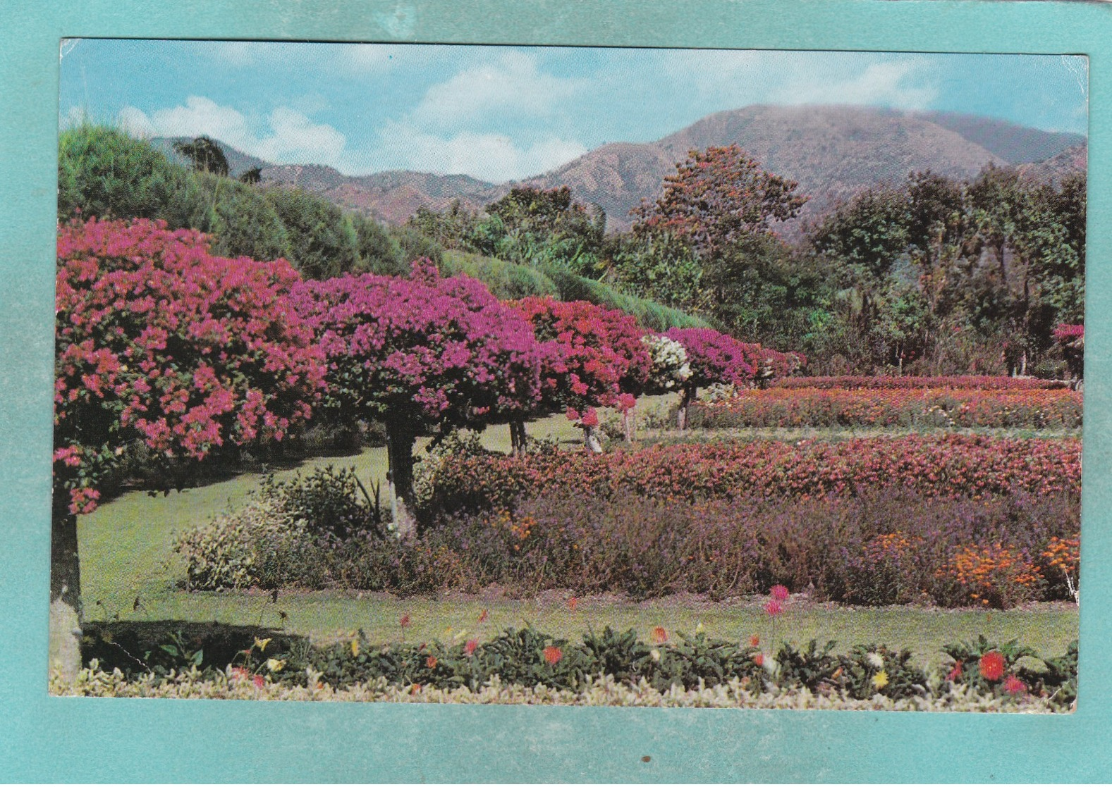 Small Post Card Of Gardens,Hope,Kingston,Jamaica,V99. - Jamaica