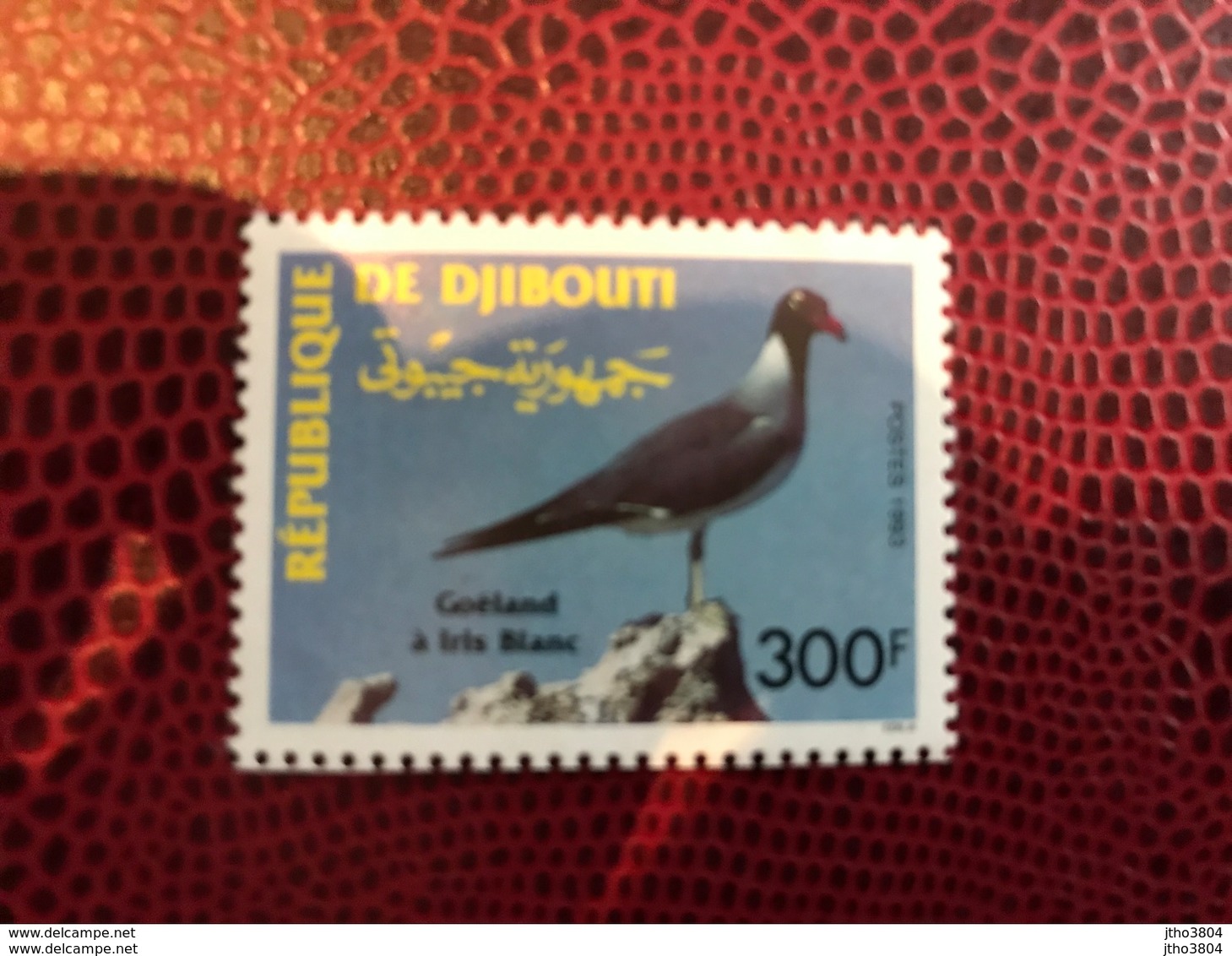 DJIBOUTI 1993 1 V Neuf ** MNH YT 702 Bird Of Djibouti - Seagulls