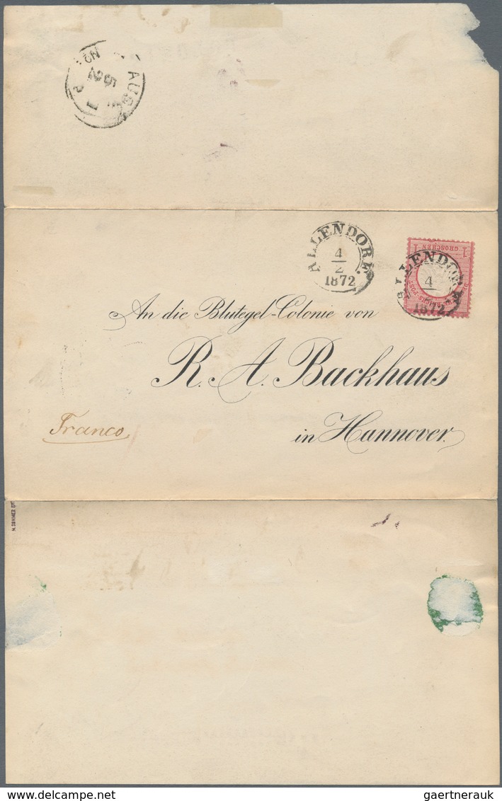 Deutsches Reich - Brustschild: 1872 Großer Schild 1 Gr Karmin A. Vordruckbrief "An Die Blutegel-Colo - Unused Stamps