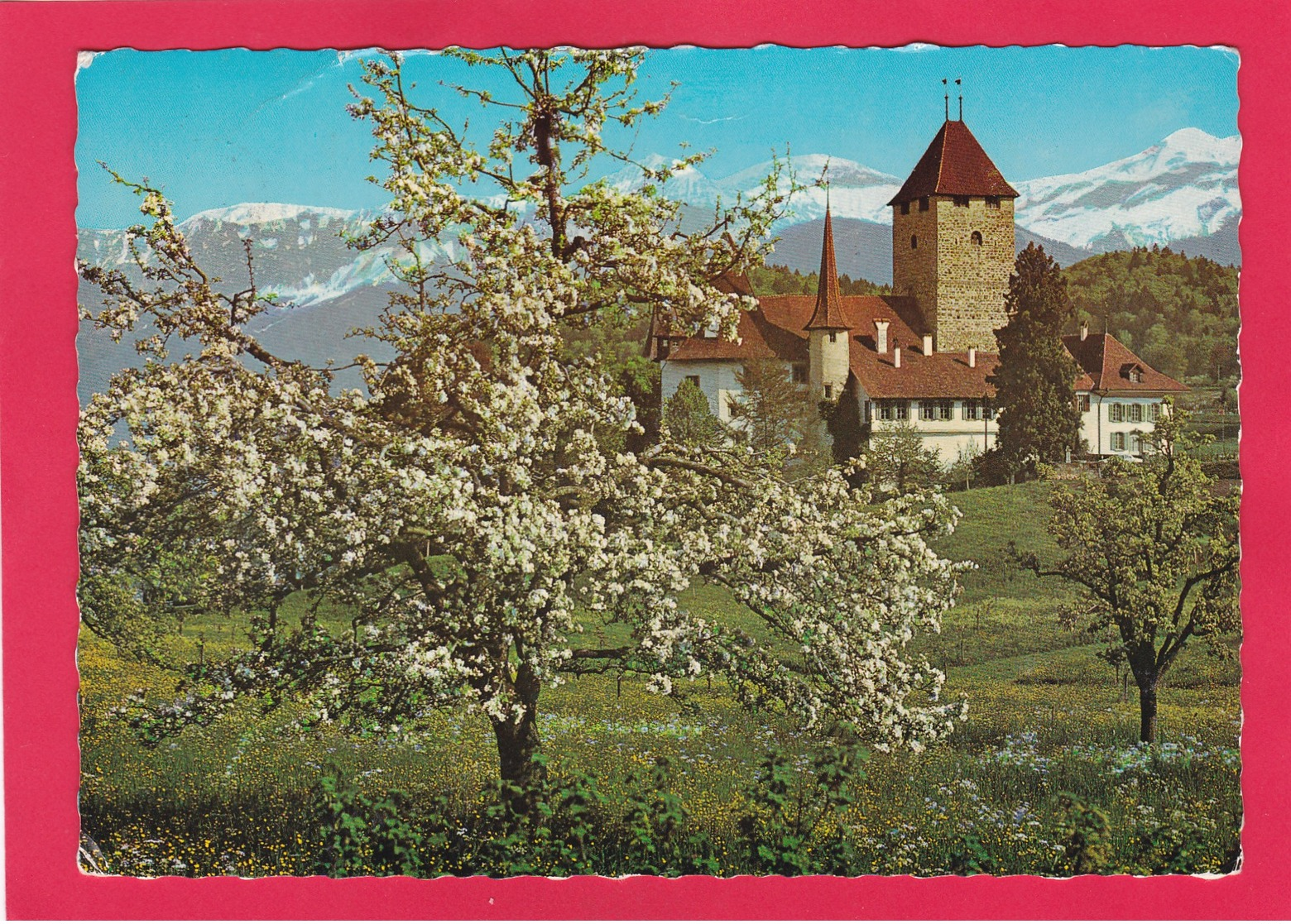 Modern Post Card Of Spiez, Berne, Switzerland,L50. - Bern