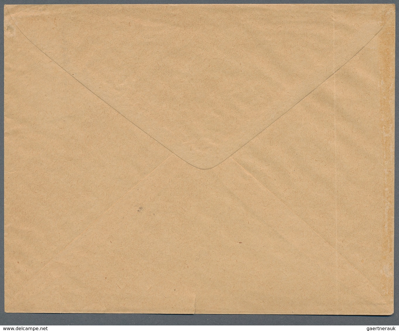 Deutsches Reich - Privatpost (Stadtpost): DANZIG - Stadt-Brief-Spedition: 1890, Ganzsachenausschnitt - Private & Local Mails