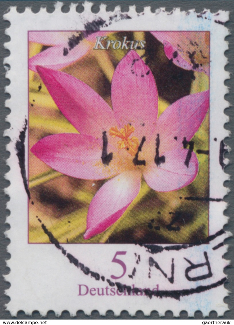Bundesrepublik Deutschland: 2005, 5 (C) Blumen (Vi), Gezähnt, Farbe Blau Fehlend, Dadurch Blüte Rot - Other & Unclassified