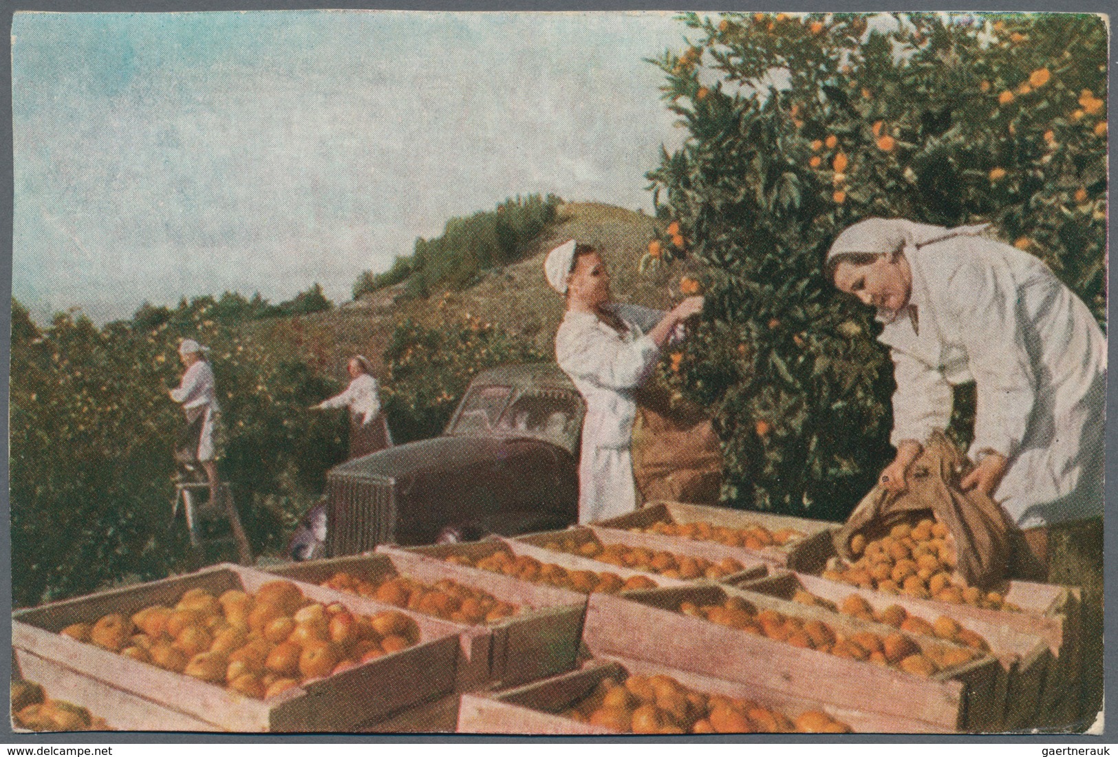 Ansichtskarten: Alle Welt: RUSSLAND, Schachtel Mit Gut 290 Alten Ansichtskarten Aus Den Jahren 1945/ - Ohne Zuordnung