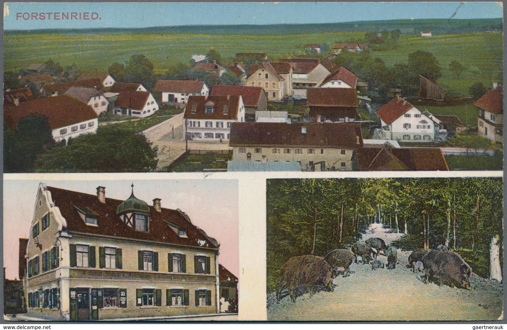 Ansichtskarten: Bayern: MÜNCHEN THALRIRCHEN-OBERSENDLING-FORSTENRIED, über 120 Historische Ansichtsk - Autres & Non Classés