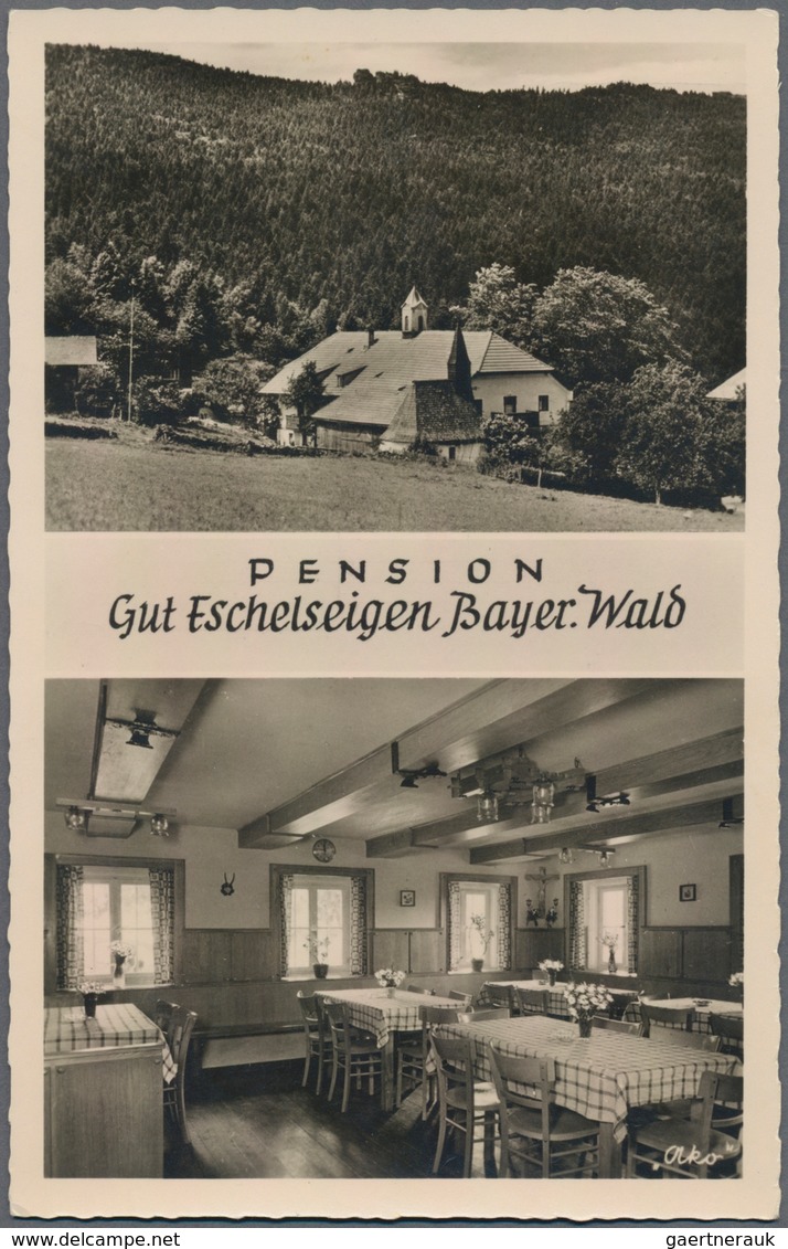 Ansichtskarten: Bayern: OBERPFALZ (alte PLZ 84), Gut 140 Nachkriegskarten Aus Den 50er Bis In Die Fr - Other & Unclassified