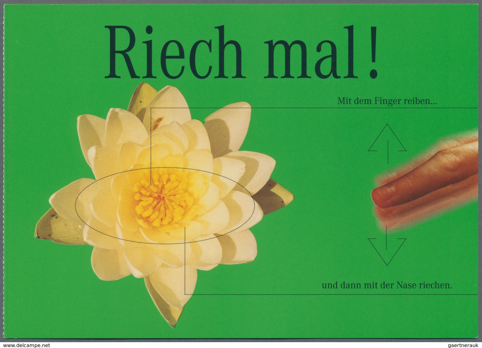 Ansichtskarten: Zwei Große Kartons Mit Geschätzt 10.000 Modernen Ungebrauchten Karten, Dabei Künstle - 500 Cartoline Min.