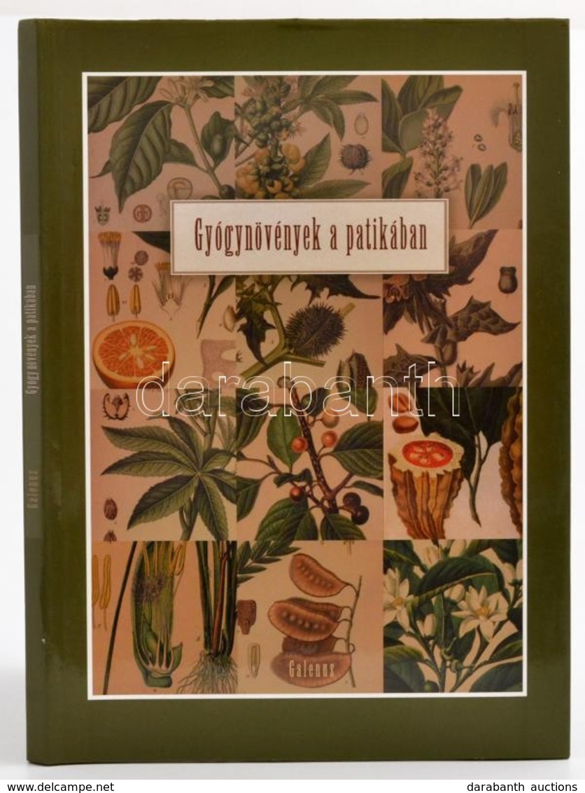 Gyógynövények A Patikában. Bp., 2002, Galenus. Gazdag Képanyaggal. Kiadói Kartonált Kötés, Kiadó Papír Védőborítóval, Jó - Non Classés