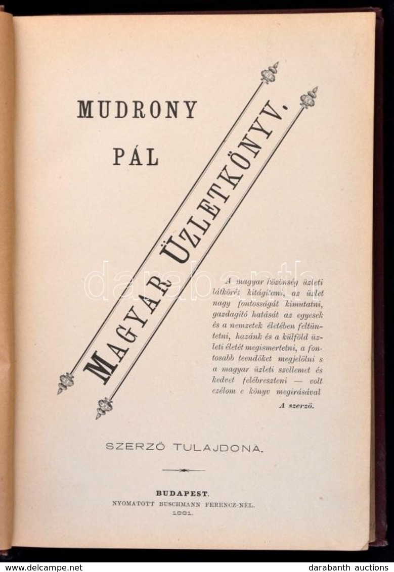 Mudrony Pál: Magyar Üzletkönyv. Bp., 1881, Szerzői Kiadás, Buschmann Ferenc-ny., 2+226 P. Korabeli Aranyozott Egészvászo - Zonder Classificatie