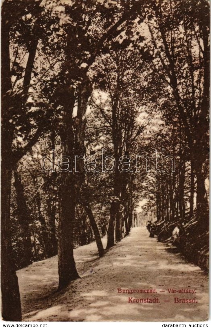 T2/T3 1916 Brassó, Kronstadt, Brasov; Vár-sétány / Burgpromenade / Castle Promenade (EK) - Zonder Classificatie