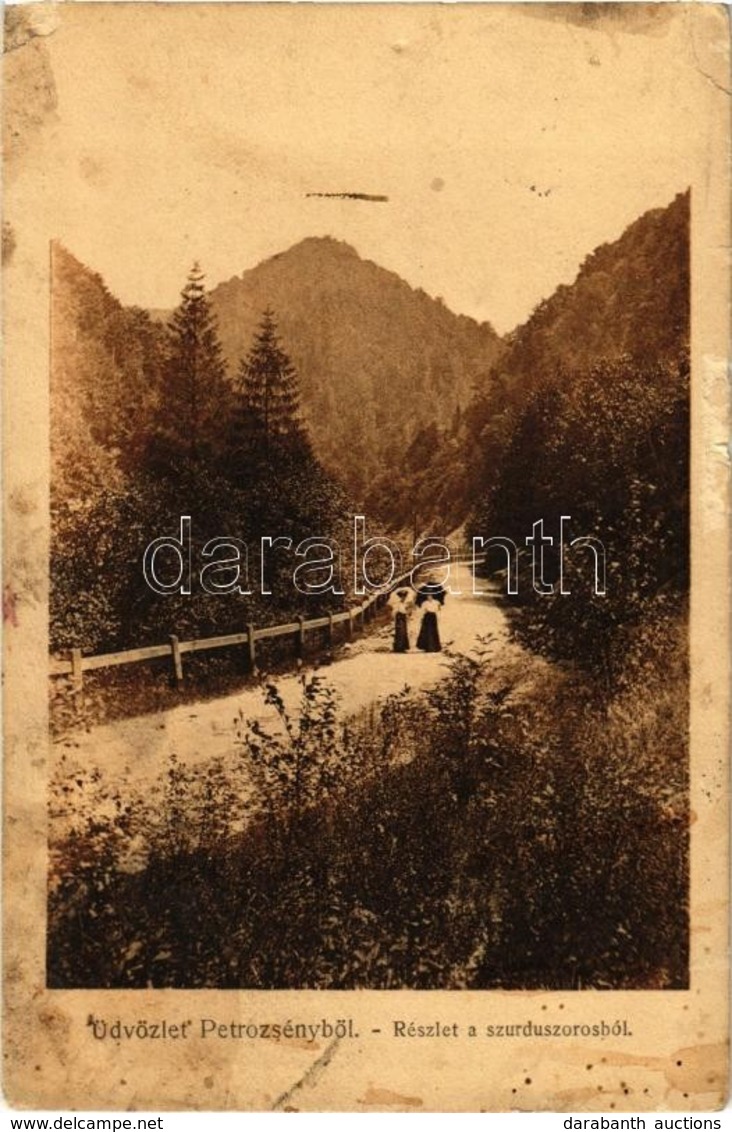 T3 1908 Petrozsény, Petrosani; Szurduki Szoros. Kiadja Herz Henrik / Pasul Surduc / Mountain Pass (kis Szakadás / Small  - Zonder Classificatie