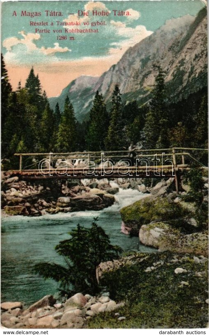 ** T2 Tátra, Tatry; Tarpatakai Völgy, Fahíd. Divald Károly 1446-1909. / Velká Studená Dolina / Valley, Wooden Bridge - Zonder Classificatie