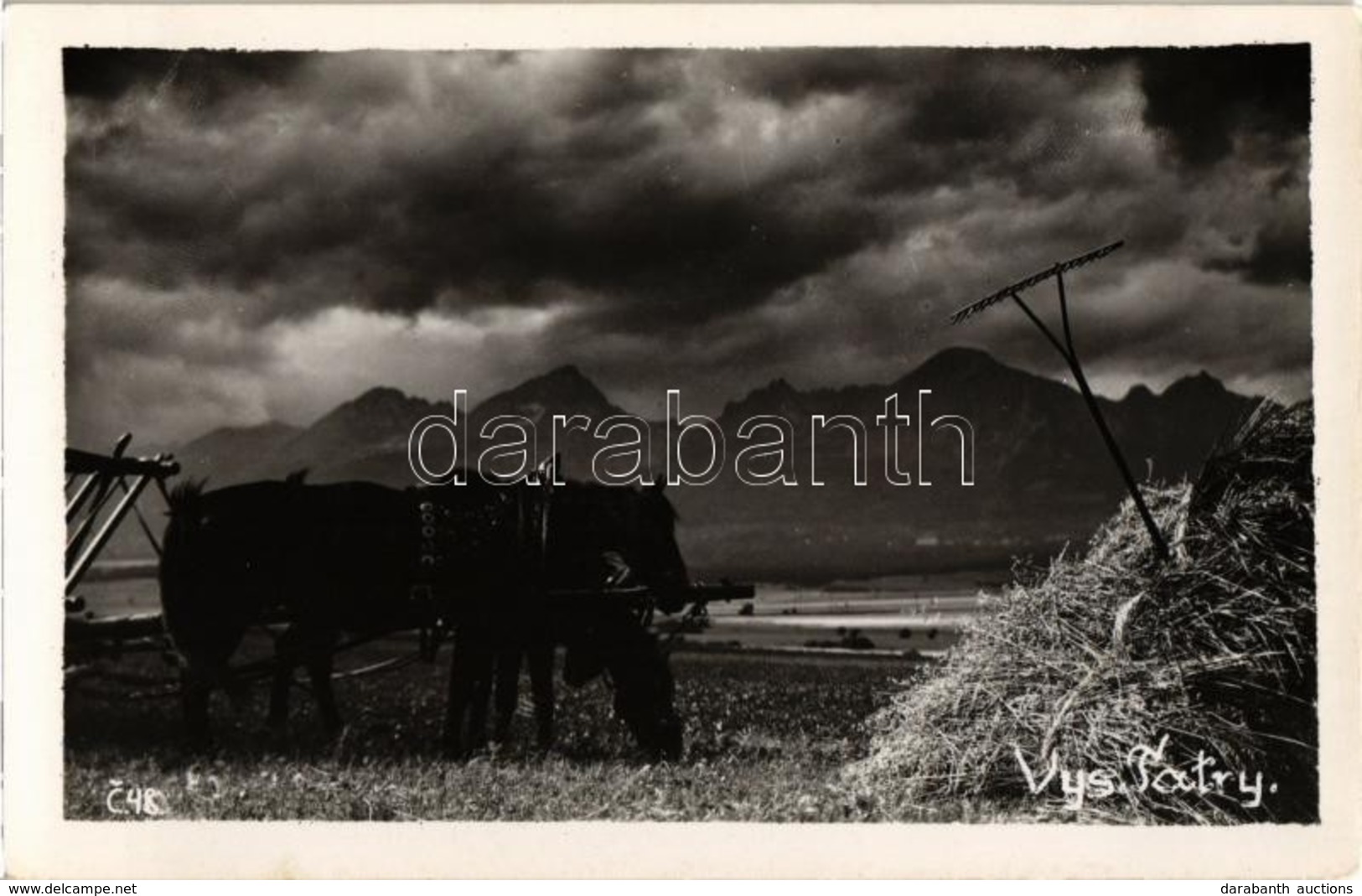 ** T2 Tátra, Magas Tátra, Vysoké Tatry; Szénagyűjtés, Széna Elszállítása Szénásszekéren, Folklór / Transporting Hay With - Zonder Classificatie