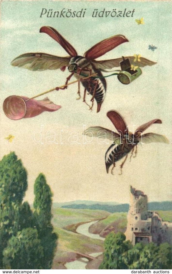 T2 Pünkösdi Üdvözlet / Pentecost, May Bugs (Cockchafers), L&P 2252. Litho - Unclassified