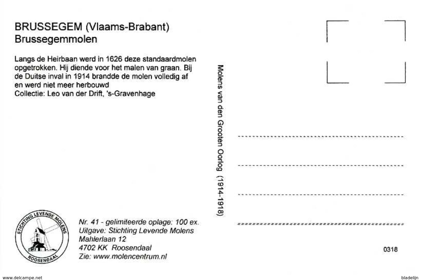 BRUSSEGEM - Merchtem (Vlaams-Brabant) - Molen/moulin - Fraaie Opname Van De Brussegemmolen, Vernield In 1914 - Merchtem