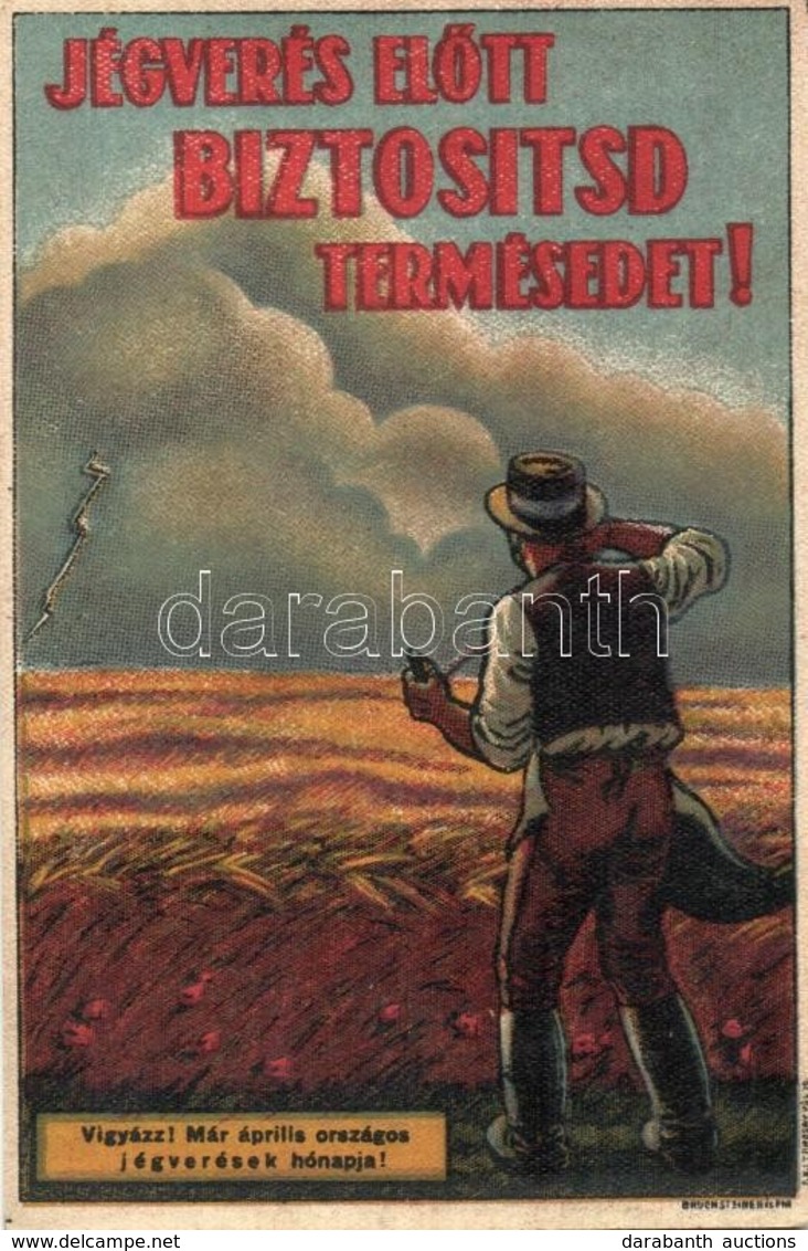 * T2/T3 Jégverés Előtt Biztosítsd A Termésedet! Mezőgazdasági Hirdetmény, Bruchsteiner és Fia / Hungarian Agricultural I - Zonder Classificatie