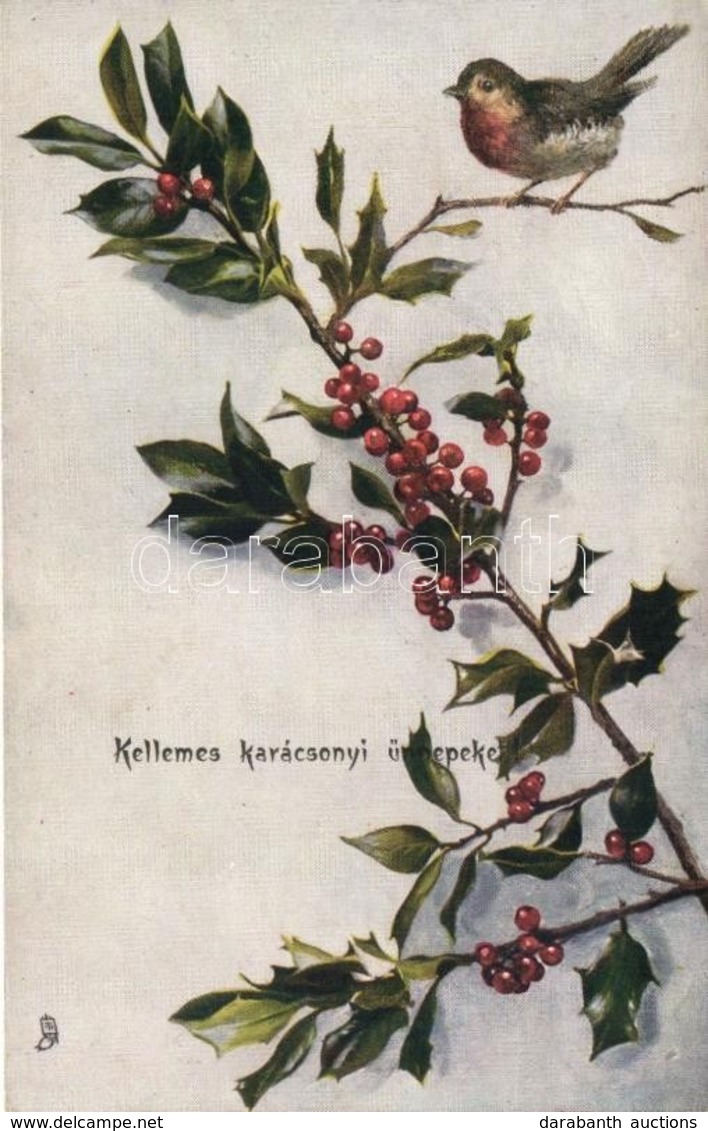 ** T2 'Kellemes Karácsonyi ünnepeket!' / Christmas, Robin Sitting On A Holly Branch, Raphale Tuck & Sons Oilette No. 852 - Zonder Classificatie